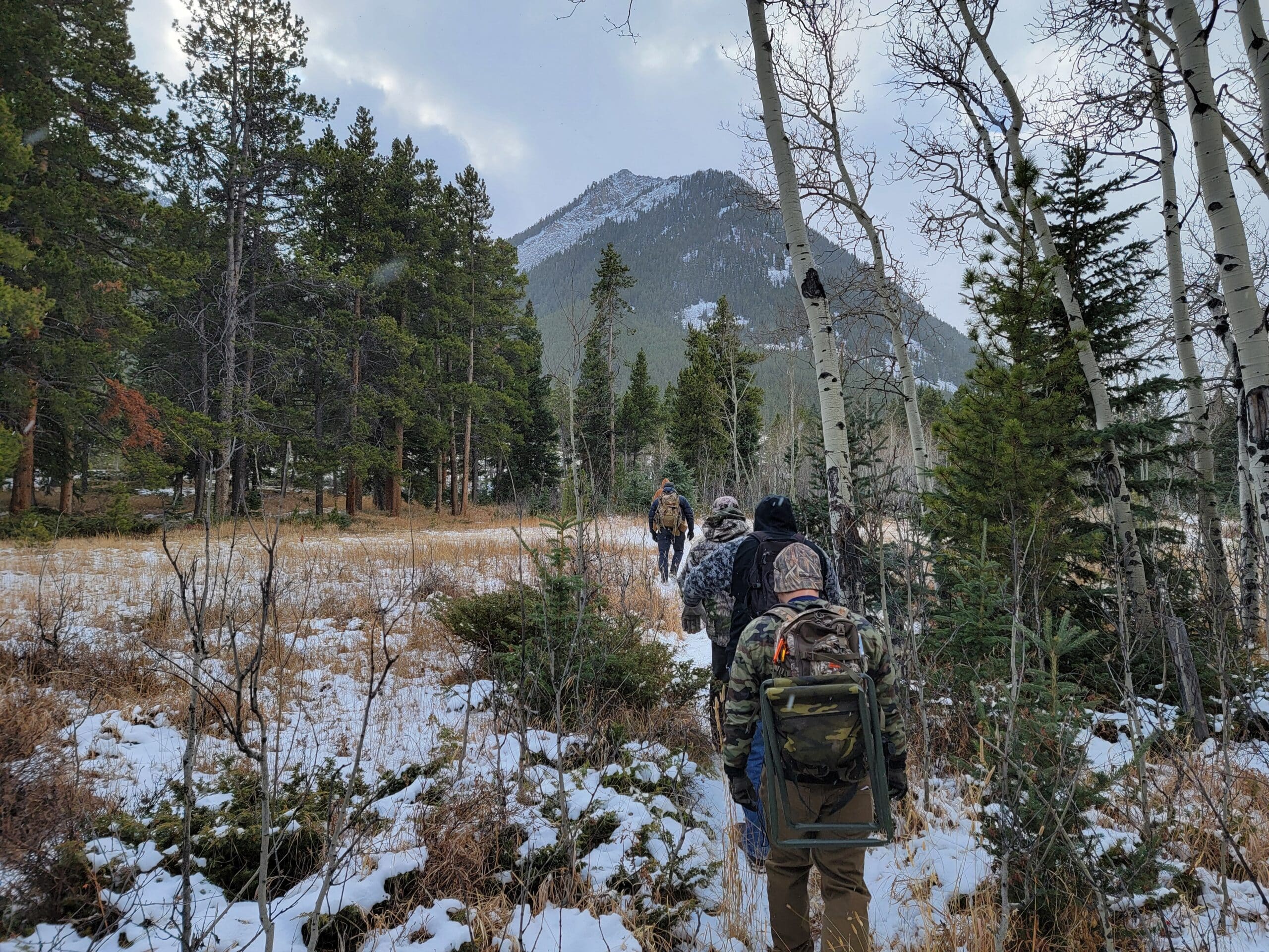 Hikers with backpacks trekking through a snowy forest toward a mountain.